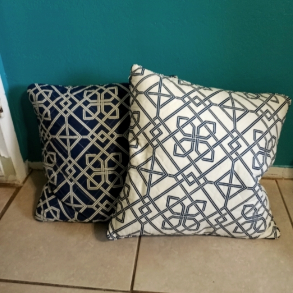 Home Goods Blue & White Patterned Down Pillows